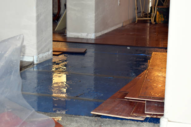 Professional Water Damage Restoration technician working in Odessa, FL